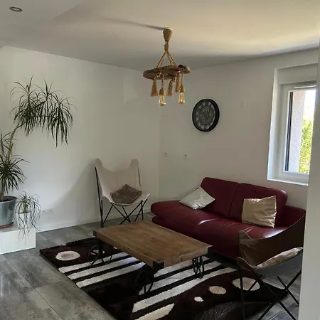 Le Grand Loft Du Léman Appartamento *
