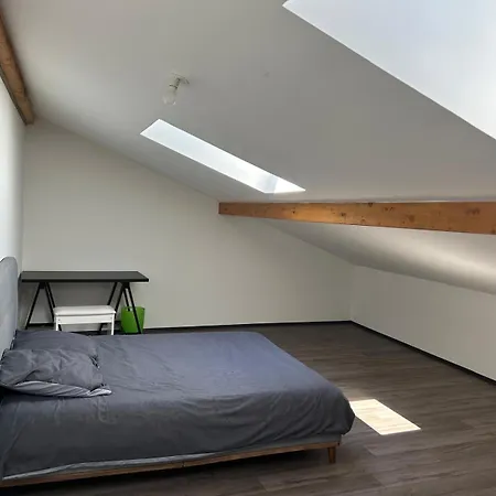 アパート Le Grand Loft Du Leman *